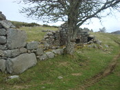 EHG4926_37.JPG