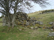 EHG4926_43.JPG