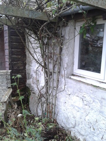 EHG4928_07_braeval_south west corner outbuilding.jpg