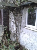 EHG4928_07_braeval_south west corner outbuilding.jpg