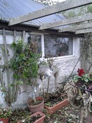 EHG4928_11_braeval_south wall outbuilding.jpg
