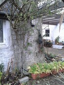 EHG4928_12_braeval_south east corner outbuilding.jpg