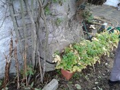 EHG4928_13_braeval_south east corner outbuilding.jpg