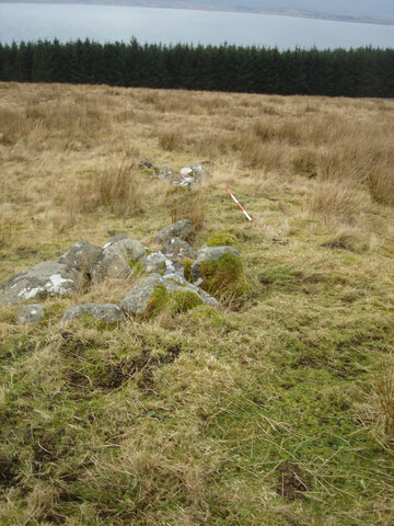MHG7741_01.JPG