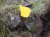 MHG7741_06.JPG