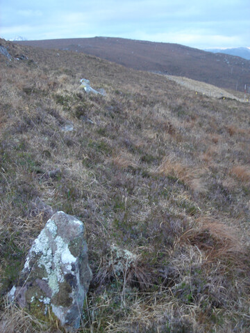 MHG57192_08.JPG