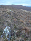 MHG57192_08.JPG