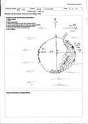 MHG57193_Field_sketch.jpg