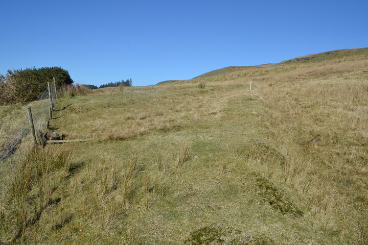 EHG4815_01.JPG