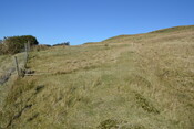 EHG4815_01.JPG