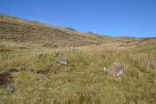 EHG4815_23.JPG