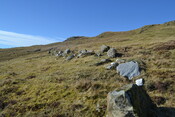 EHG4815_25.JPG