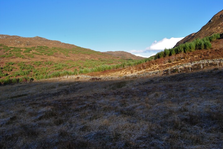 EHG4949_012.JPG