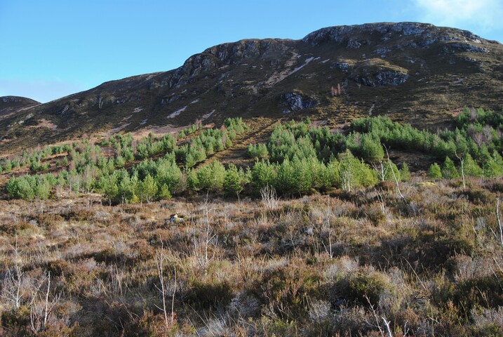 EHG4949_016.JPG