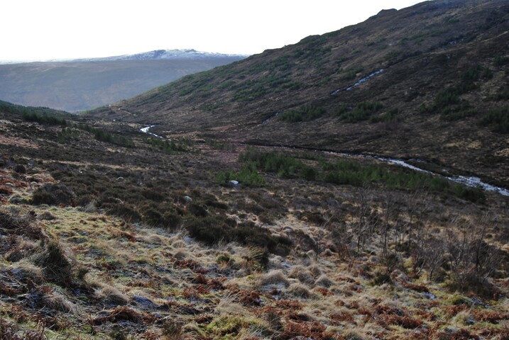 EHG4949_018.JPG