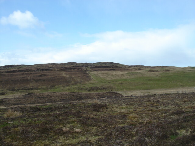 MHG5769_01.JPG