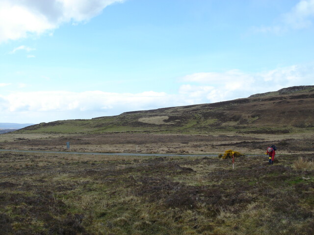 MHG5769_02.JPG