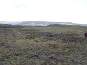 MHG5769_04.JPG