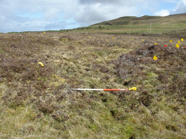 MHG5769_05.JPG