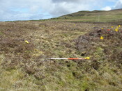 MHG5769_05.JPG