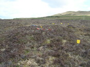 MHG5769_06.JPG