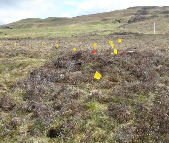 MHG5769_07.JPG