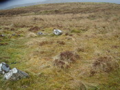 MHG3164_04.JPG