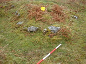 MHG3164_06.JPG
