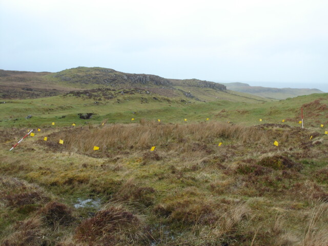 MHG57212_01.JPG
