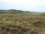 MHG57212_01.JPG