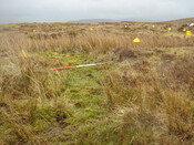 MHG57212_03.JPG