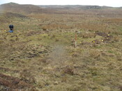 MHG57213_02.JPG