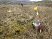 MHG57215_03.JPG