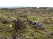 MHG38870_01.JPG