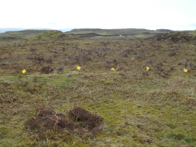 MHG38870_02.JPG