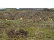 MHG38870_02.JPG