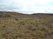 MHG38870_03.JPG