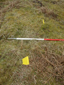 MHG38870_04.JPG