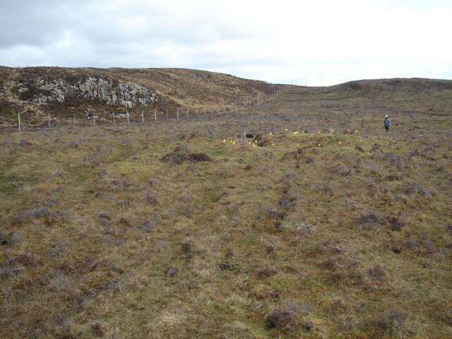 MHG38870_05.JPG
