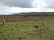 MHG38867_01.JPG