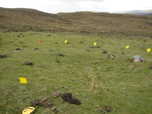 MHG38867_02.JPG