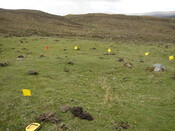 MHG38867_02.JPG