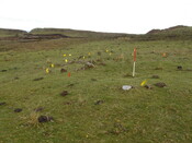 MHG38867_03.JPG