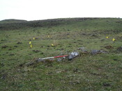 MHG38867_04.JPG