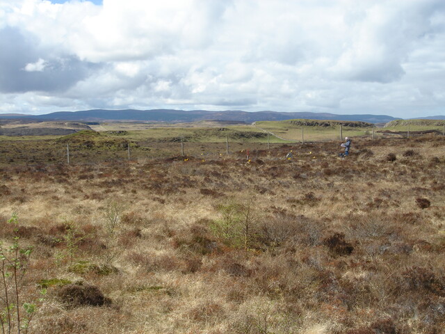 MHG57219_01.JPG