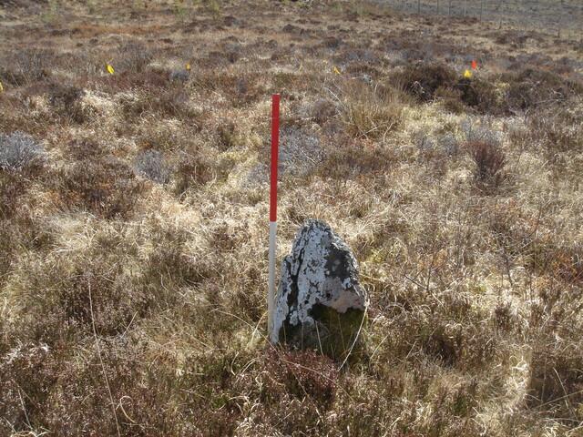 MHG57219_02.JPG
