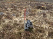 MHG57219_02.JPG
