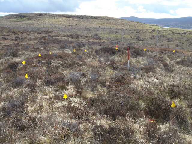 MHG57219_03.JPG