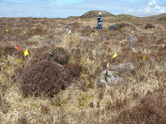 MHG57219_04.JPG