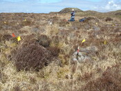 MHG57219_04.JPG